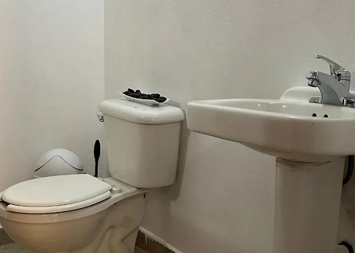 Apartment Local Vibe Near La Roma - Walkable